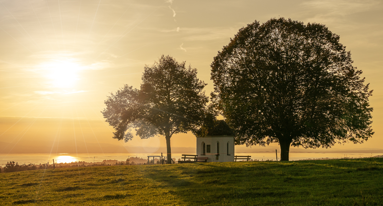 Discover how faith can be a pillar for mental health. Explore the connection between religion and emotional balance for a fuller life. 🌟😌 #MentalHealth #Religion #EmotionalBalance